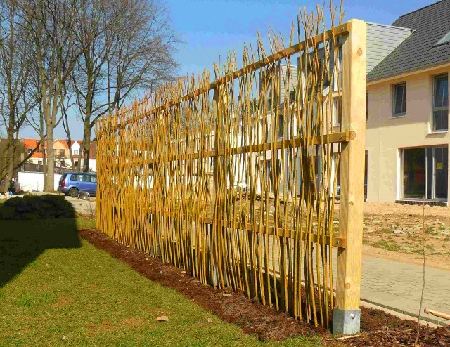 Weidenruten senkrecht in kleinem Abstand an einem Holzgerüst mit 3 Querbalken gepflanzt