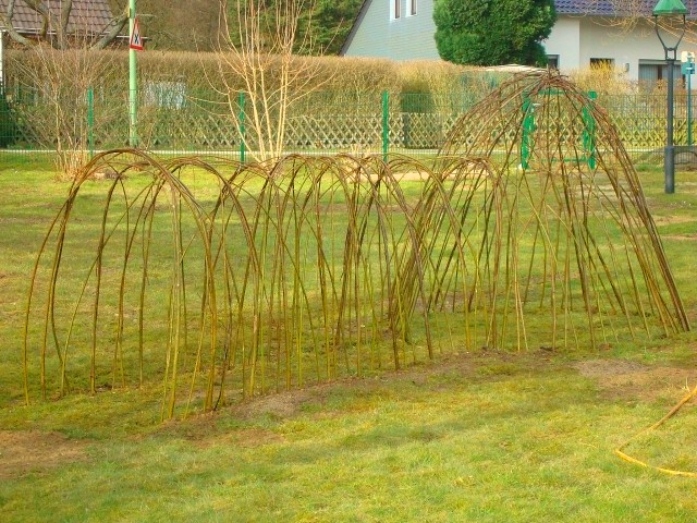 Weideniglu und Weidentunnel nach dem Pflanzen, keine Blätter an den Weidenruten