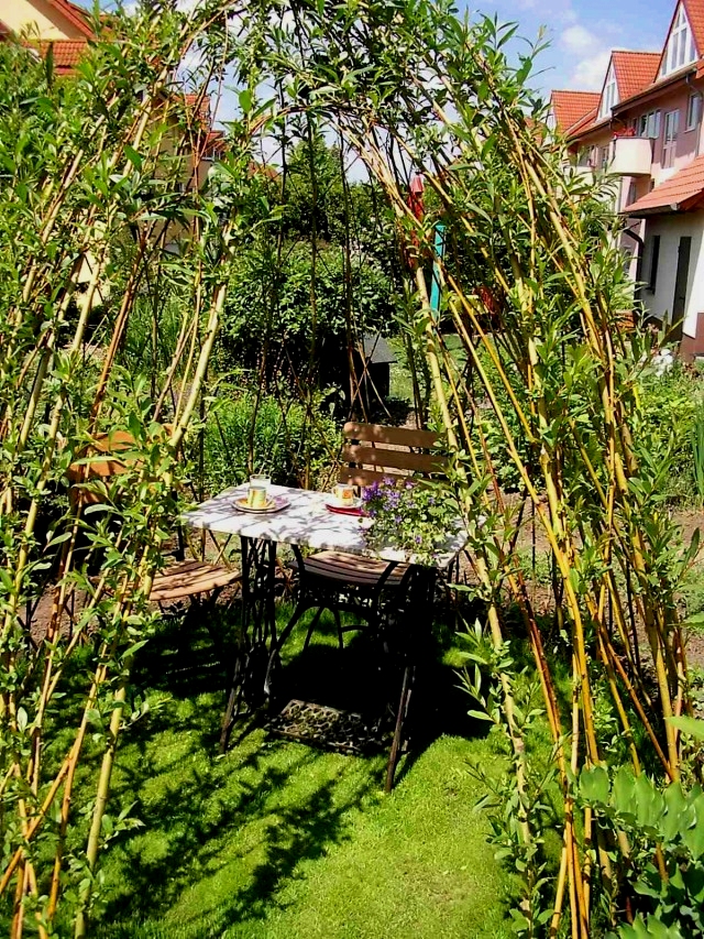 Weideniglu aus Sicht des Eingangs, in der Mitte ein Tisch mit 2 Stühlen, viele Blätter an den Weidenruten