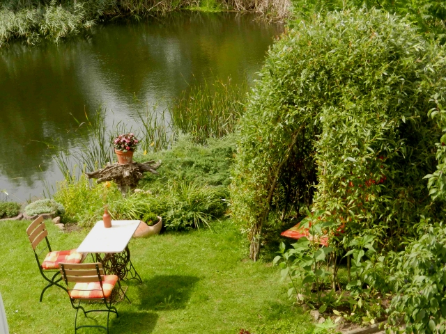 grünes Weideniglu im Blätterkleid an einem Gartenteich auf einer Wiese