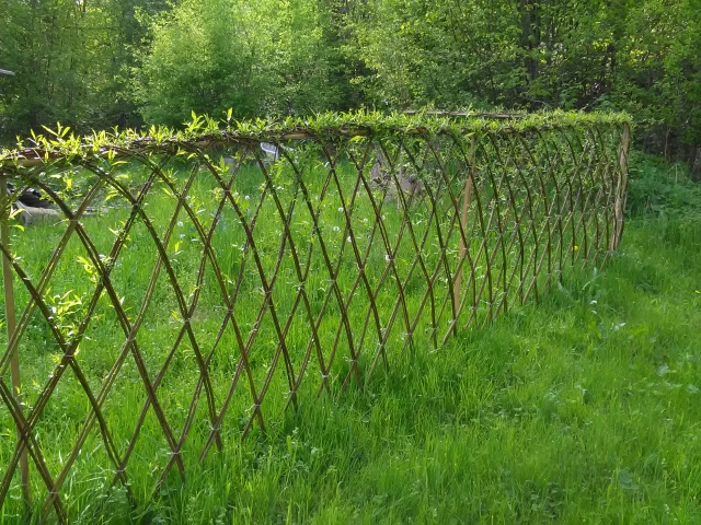 Weidenrautenzaun aus jeweils immer 2 Weidenruten je Raute und mit einem geraden oberen Abschluss