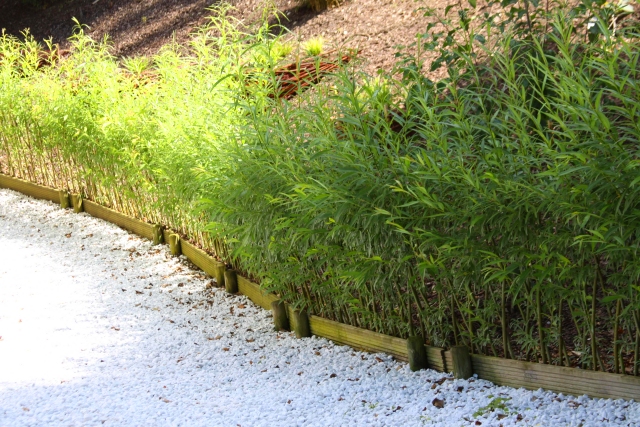 Weidenrautenzaun im vollen Austrieb am Hang, unten mit einem Brett gesichert, weiße Steinschüttung