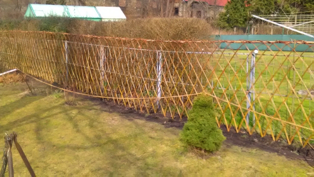 langer Weidenzaun in Rautenform vor einer Hecke auf einer Wiese, Weidenruten sind doppelt geflochten