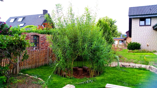 Weideniglu auf der Wiese mit langen neuen grünen Weidenzweigen