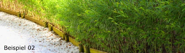 lebender Weidenzaun - Beispiel 02
